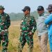 Tim Thailand Turun Tangan, Gajah Way Kambas Mulai Dilatih Hidup Bebas Berkelompok