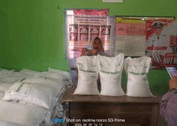 Bantuan Beras Disalurkan, 150 Keluarga di Gedung Riang Terima Manfaat