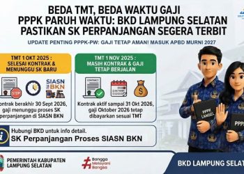 Gaji Oktober PPPK Paruh Waktu Lampung Selatan Tak Serentak, Ini Penjelasan BKD