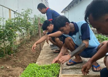 Dukung Ketahanan Pangan, Warga Binaan Lapas Kalianda Dibekali Keterampilan Bertani