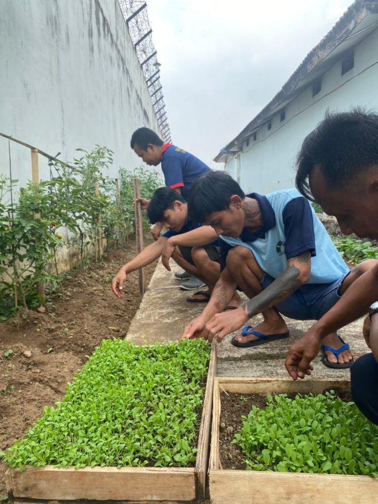 Dukung Ketahanan Pangan, Warga Binaan Lapas Kalianda Dibekali Keterampilan Bertani