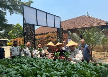 Bapas Kotabumi Berbagi Ikan Lele, Hasil Budidaya Dimanfaatkan untuk Masyarakat