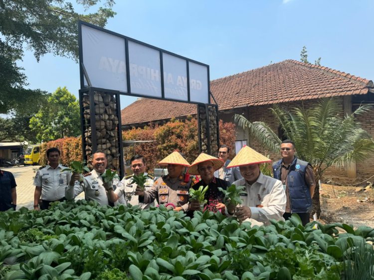 Bapas Kotabumi Berbagi Ikan Lele, Hasil Budidaya Dimanfaatkan untuk Masyarakat