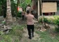 Warga Laporkan Tanaman Mencurigakan, Polisi Temukan Dugaan Ganja di Ladang Katibung
