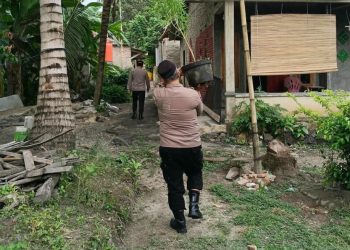 Warga Laporkan Tanaman Mencurigakan, Polisi Temukan Dugaan Ganja di Ladang Katibung